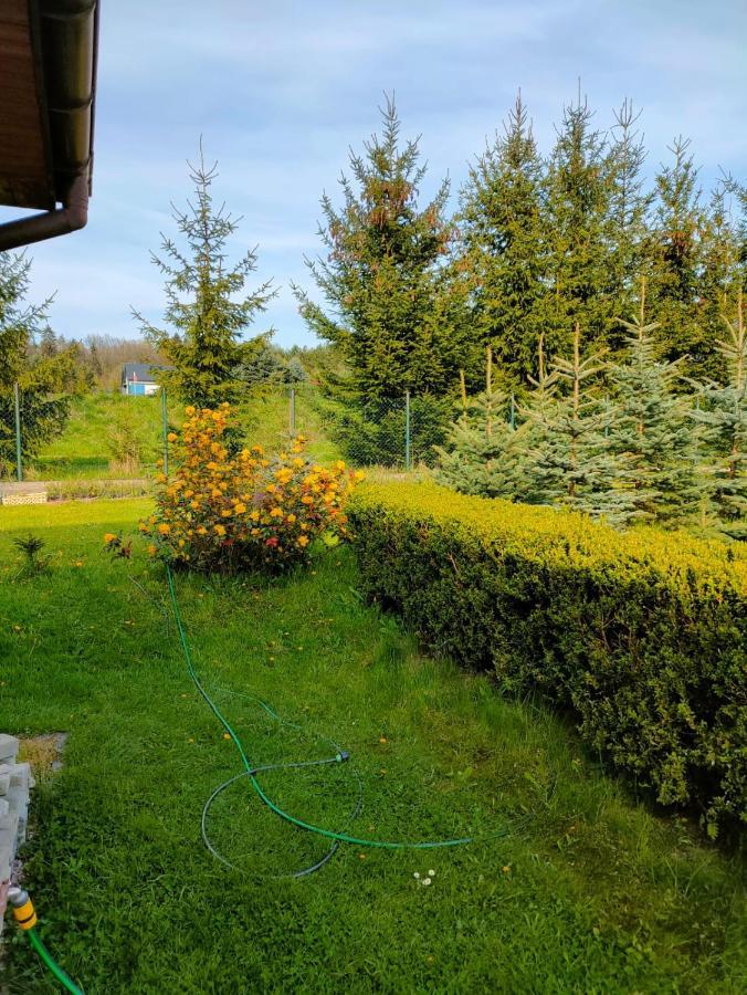 Cichy Zakatek Klodzko Apartment Екстериор снимка